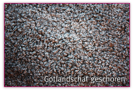 Fellpflege Felle Pflegen Elbzauber Hamburg