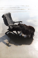 stacks_image_58F3C879-DF34-46AC-923D-B9E71FFB5C7E