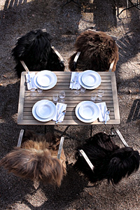 stacks_image_0BE3C843-170C-406E-BE35-453851B3C24A