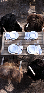 stacks_image_06D320DF-58D2-42C3-A2DA-17D28A9C7375