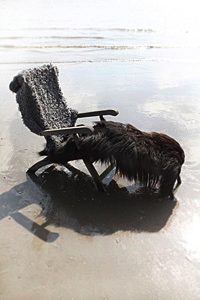 stacks_image_49C59F34-C798-4E57-94E8-A119CB9B59B5